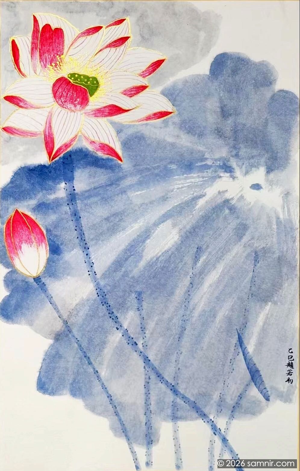 荷花
